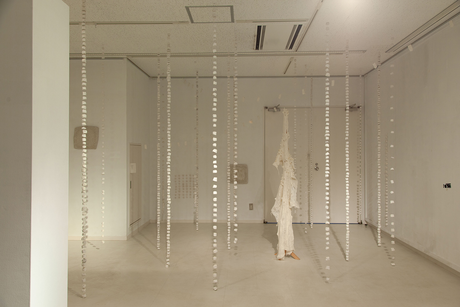 First contact｜藤井 晴子